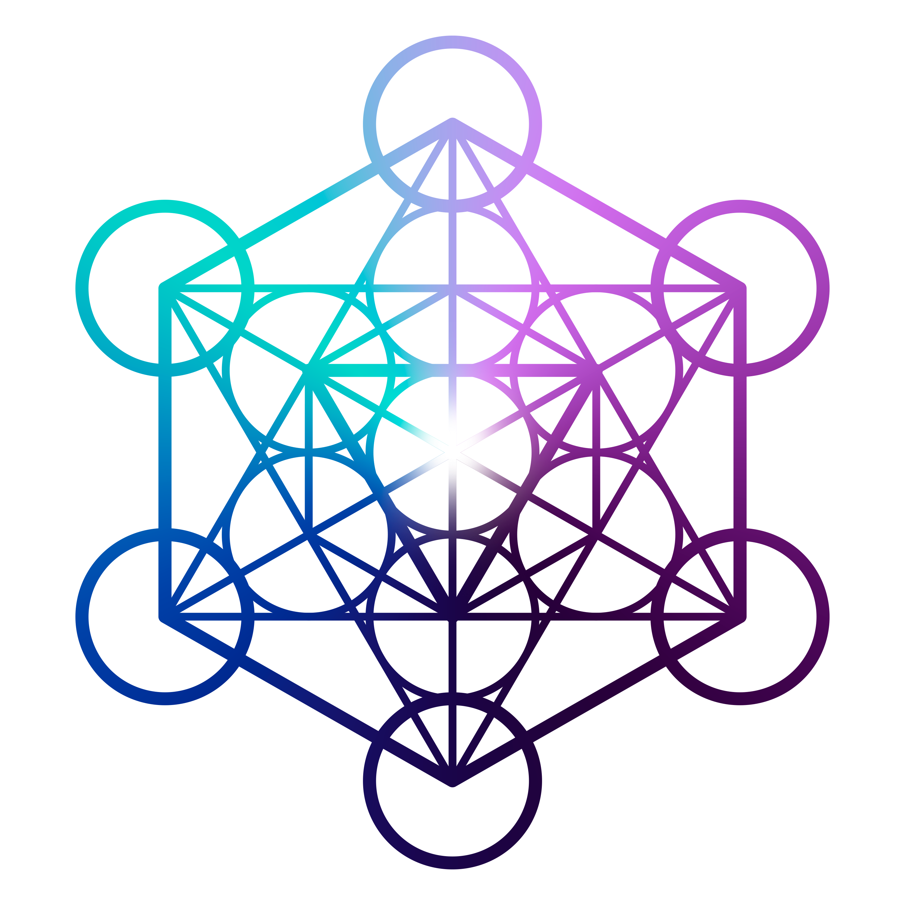 Imagem do logo do formulário