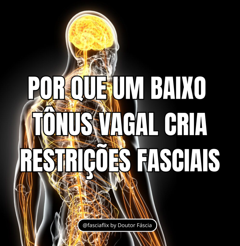 Nervo Vago e Sistema Nervoso: como o estresse se inscreve no corpo através da fáscia