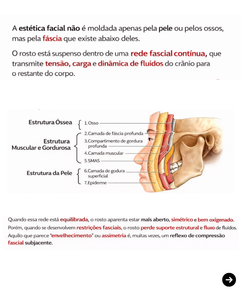 estetica facial