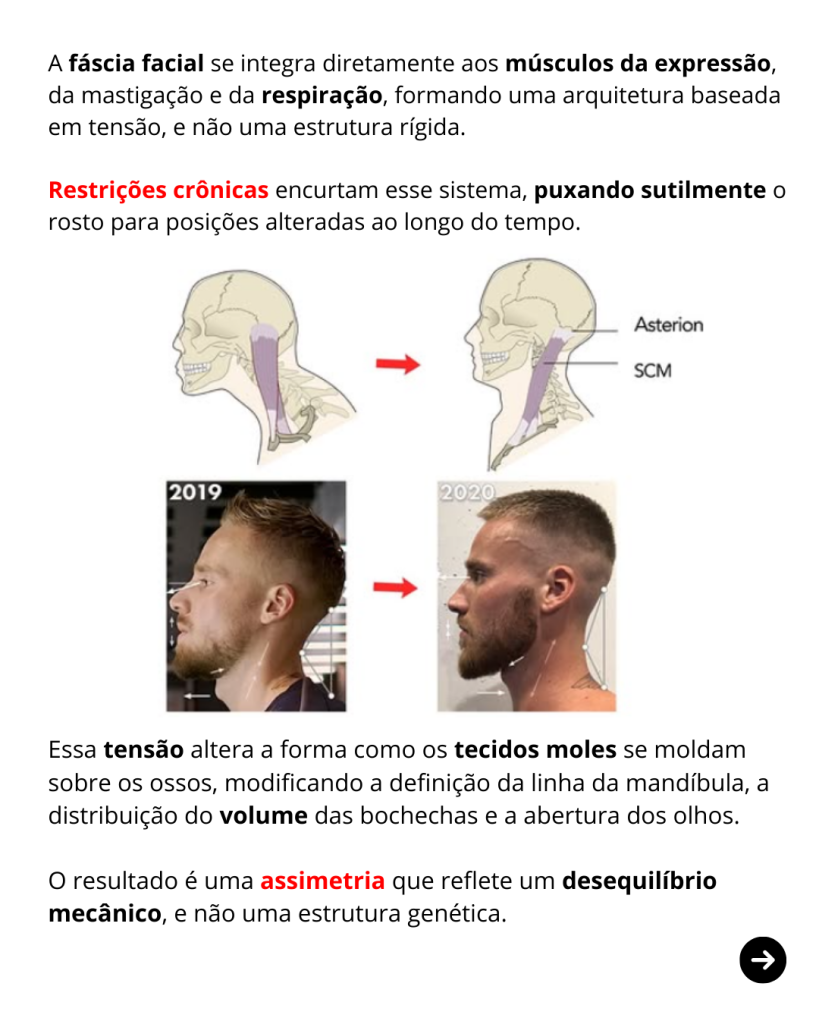 curso de estetica facial