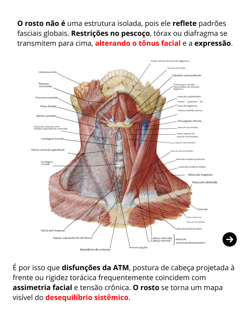 Estética Facial