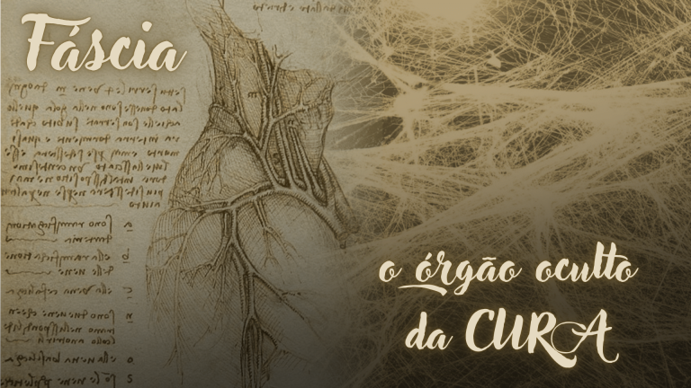 Fáscia: O Órgão Oculto que Está Revolucionando a Saúde Moderna