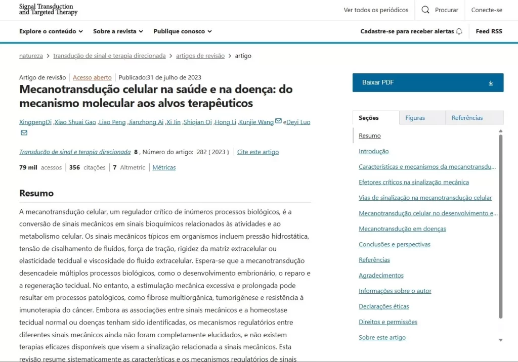 o que e tecido conjuntivo